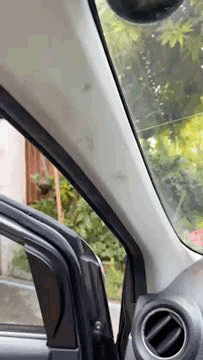 Foam Cleaner – Espuma Limpiadora para Autos 100ml